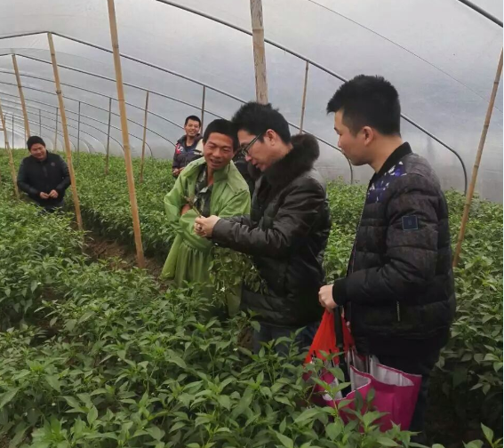 農(nóng)化部召開福帥得防治豇豆莖基腐農(nóng)民會(huì)