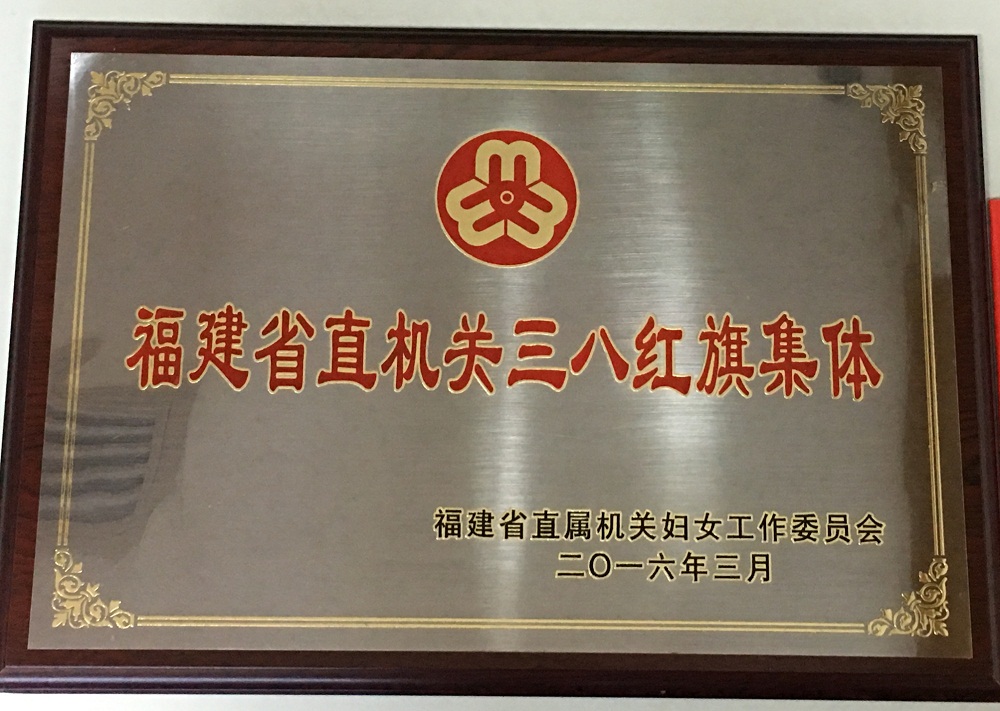 集團(tuán)公司財(cái)會(huì)部榮獲三八紅旗集體稱號(hào)