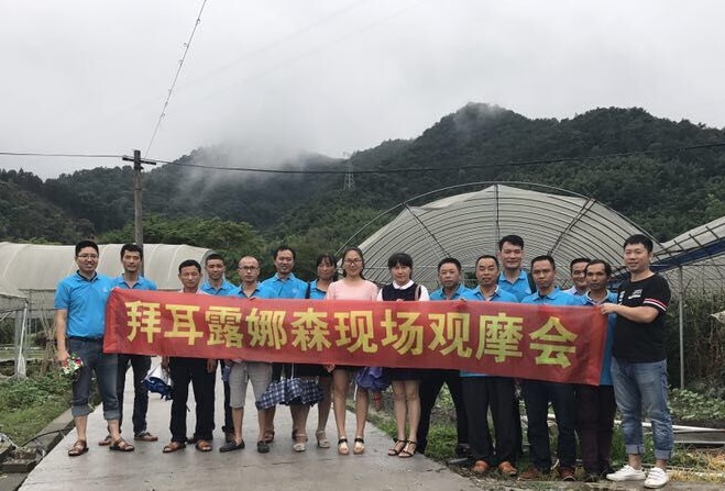 龍巖富民農(nóng)資舉辦“露娜森”現(xiàn)場(chǎng)觀摩會(huì)