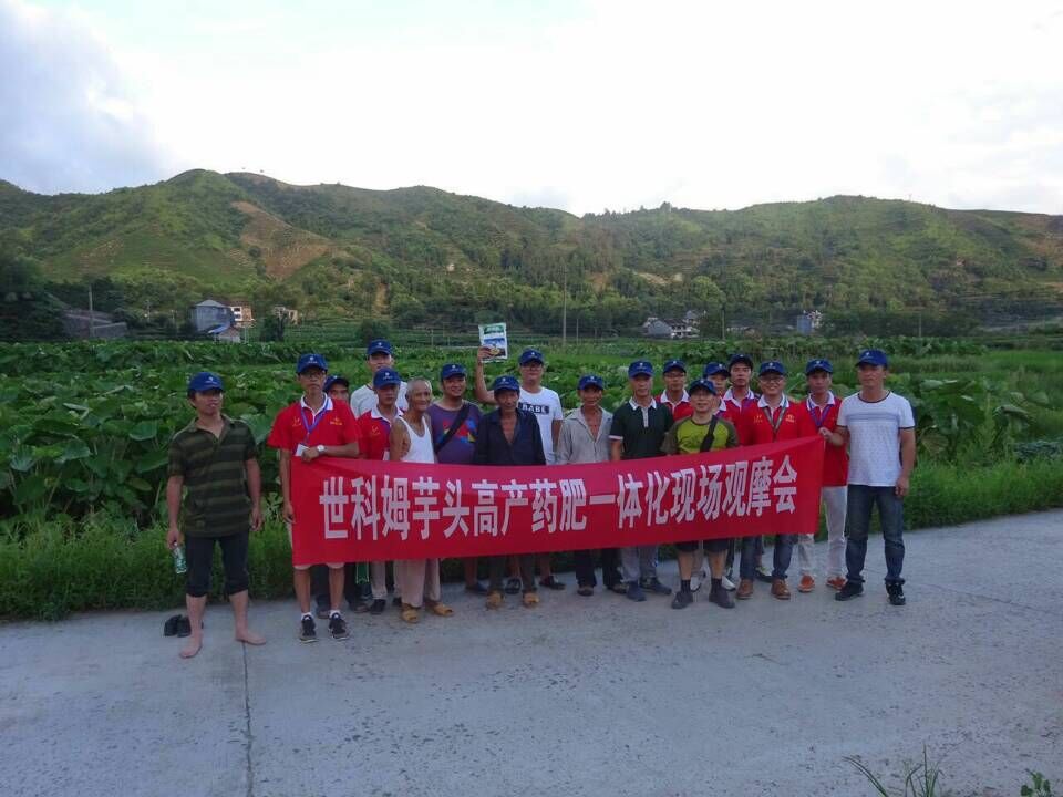 集團(tuán)公司農(nóng)化部開展了“藥肥一體化”現(xiàn)場觀摩會