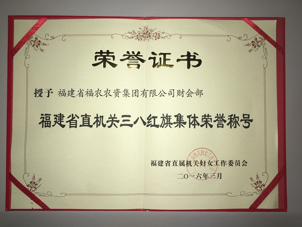 集團(tuán)公司財(cái)會(huì)部榮獲三八紅旗集體稱號(hào)