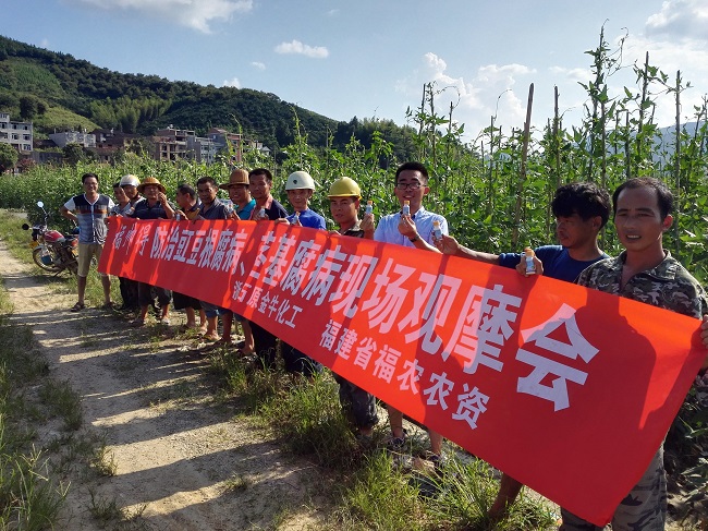 農(nóng)化部在建甌召開福帥得防治豇豆莖基腐病現(xiàn)場(chǎng)觀摩會(huì)