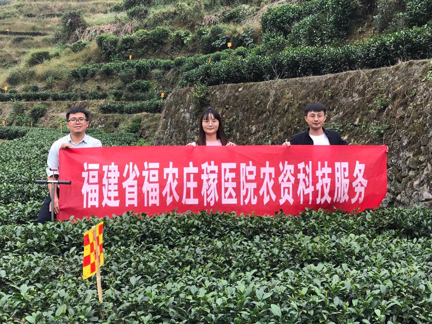 科技服務下黨茶業(yè)  積極助力脫貧攻堅