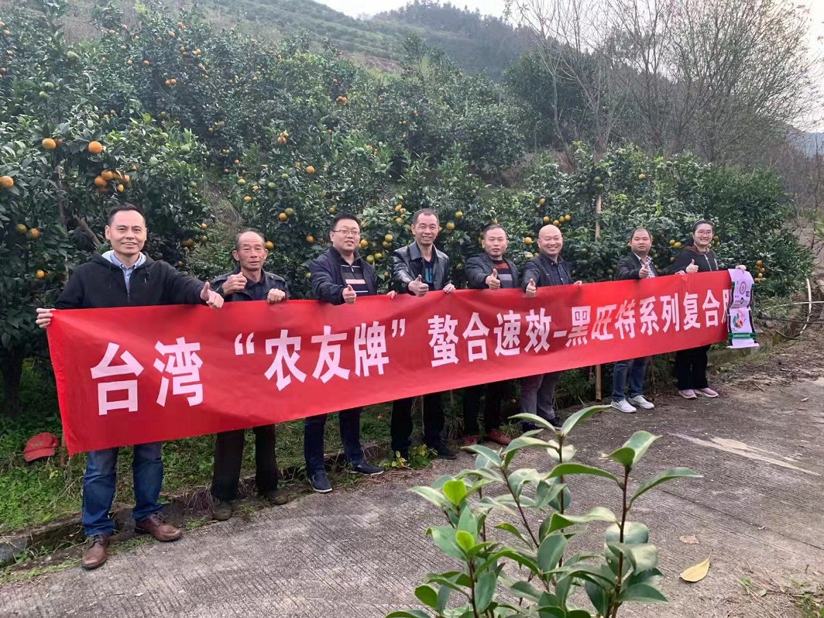 三明公司在永安洪田舉辦臺(tái)肥推介會(huì)