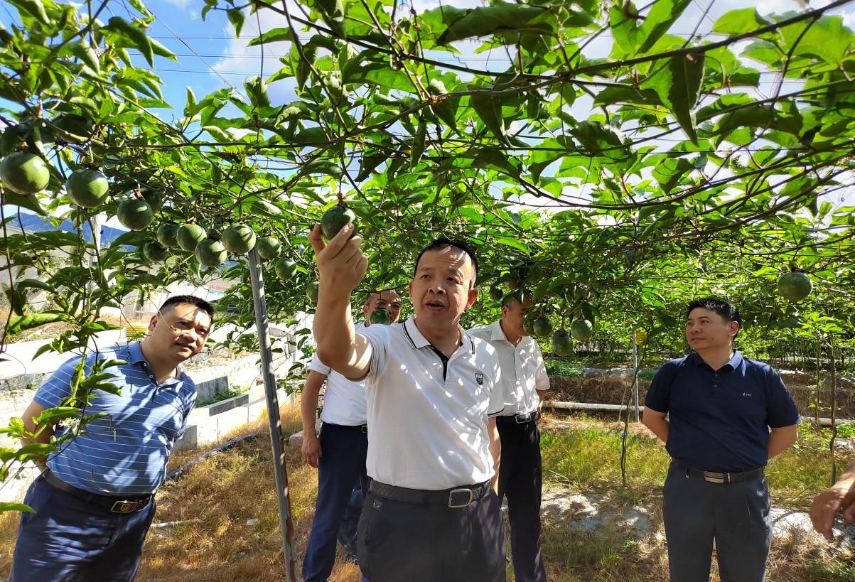 省供銷社黨組成員、副主任邱志向赴長汀調(diào)研指導